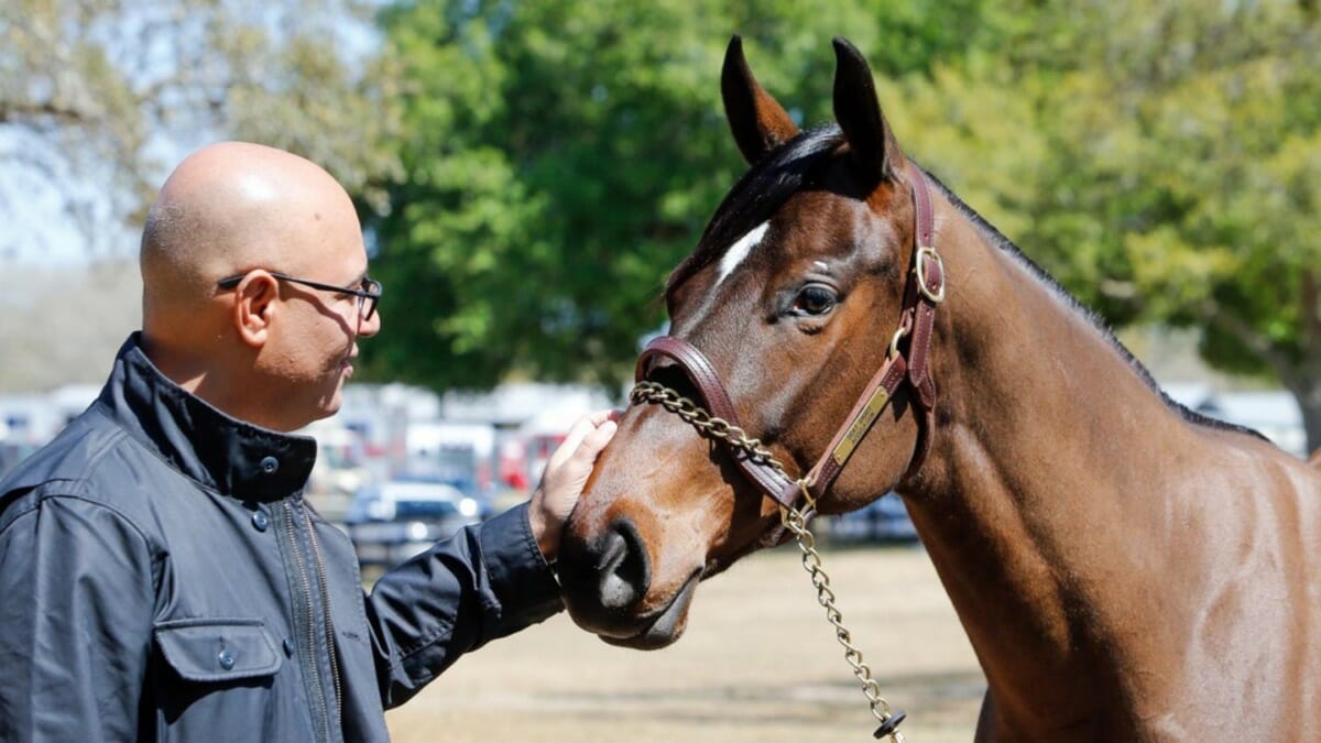 Billionaire Australian Racehorse Investor Breaks Ties After Frozen Prize  Money Amid Crypto Scam - Crypto News Australia
