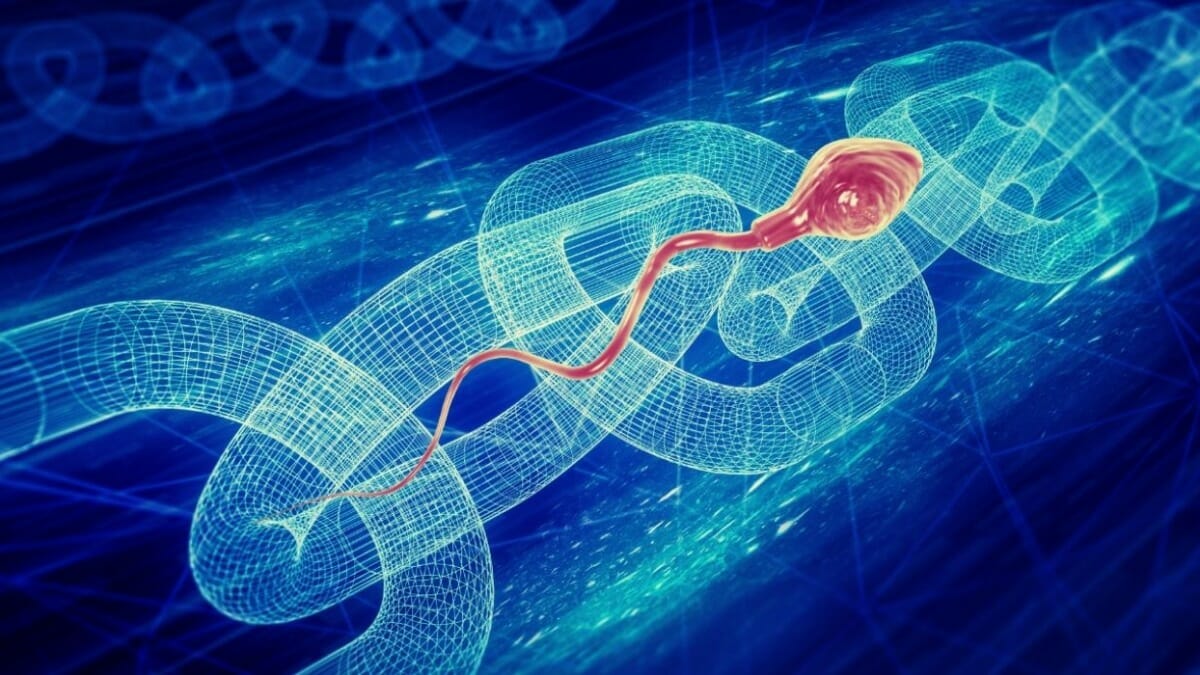 Tracking Sperm on Blockchain Now Possible via Eggschain - Crypto News  Australia