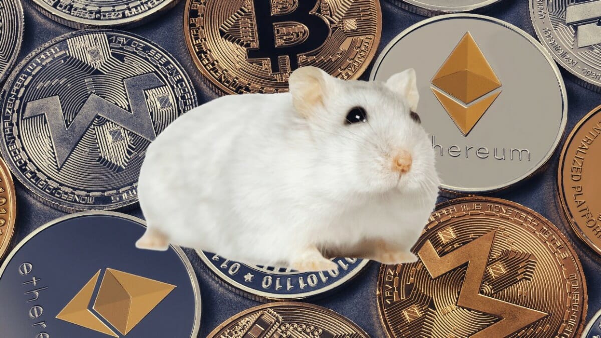 Office Hamster Beats the S&P 500 by Trading Crypto Tokens - Crypto News  Australia