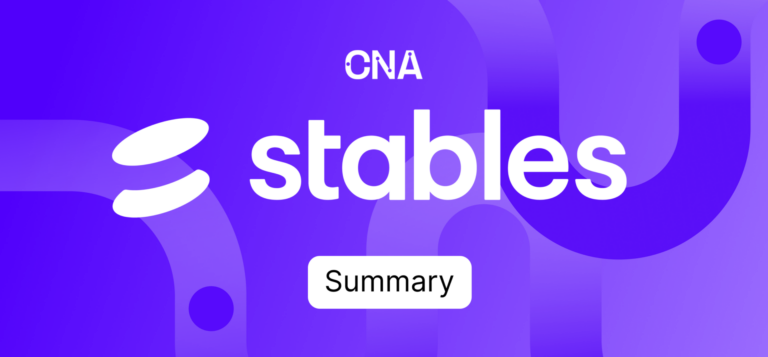 Stables Summary 2024: Spend & Send Stablecoins