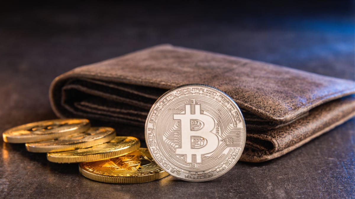 Victorian Man Vanishes with Half a Million Dollars in Crypto | CNA