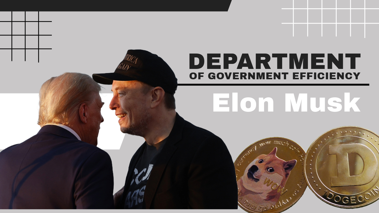 Does musk own dogecoin (59) foto