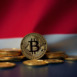 bitcoins on indonesian background