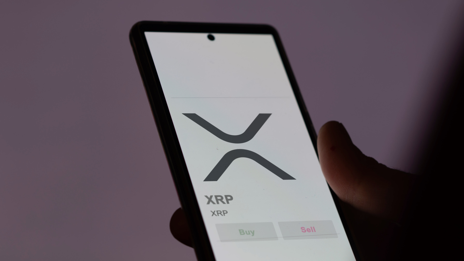 XRP Tops US$3 as 94% of Supply Turns Profitable – But History Warns of  Reversals