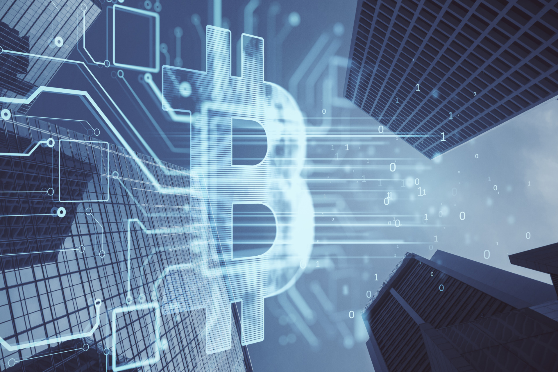 Corporate Bitcoin Accumulation Continues as American Bitcoin Takes the Lead