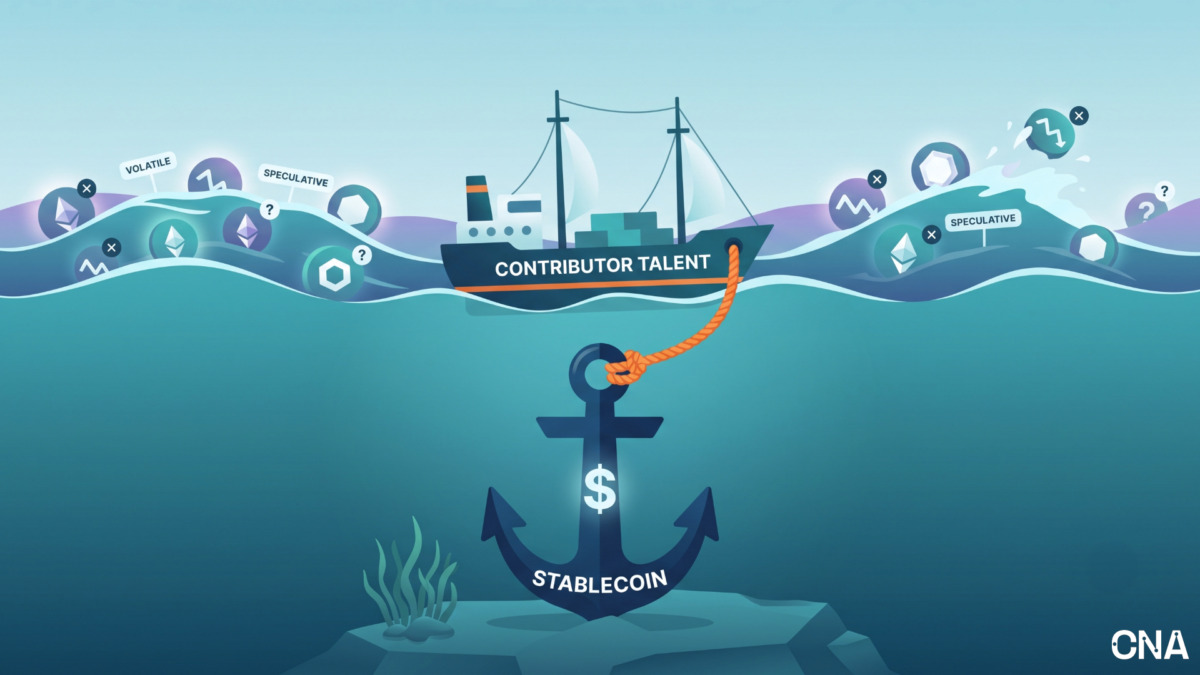 contributor stablecoin