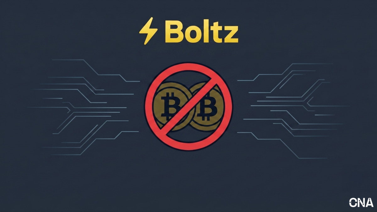 boltz bitcoin