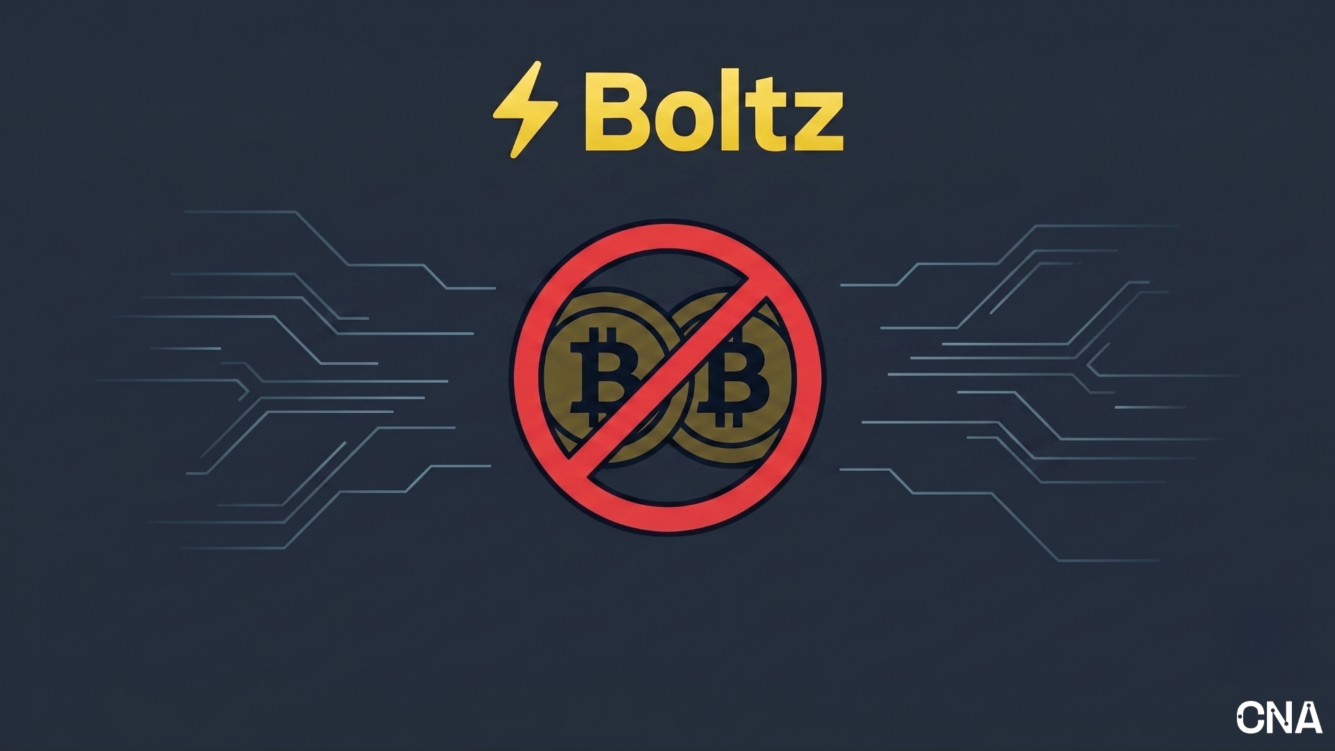 Boltz Halts Bitcoin Swaps Indefinitely as AI-Powered Attacks Overwhelm Service