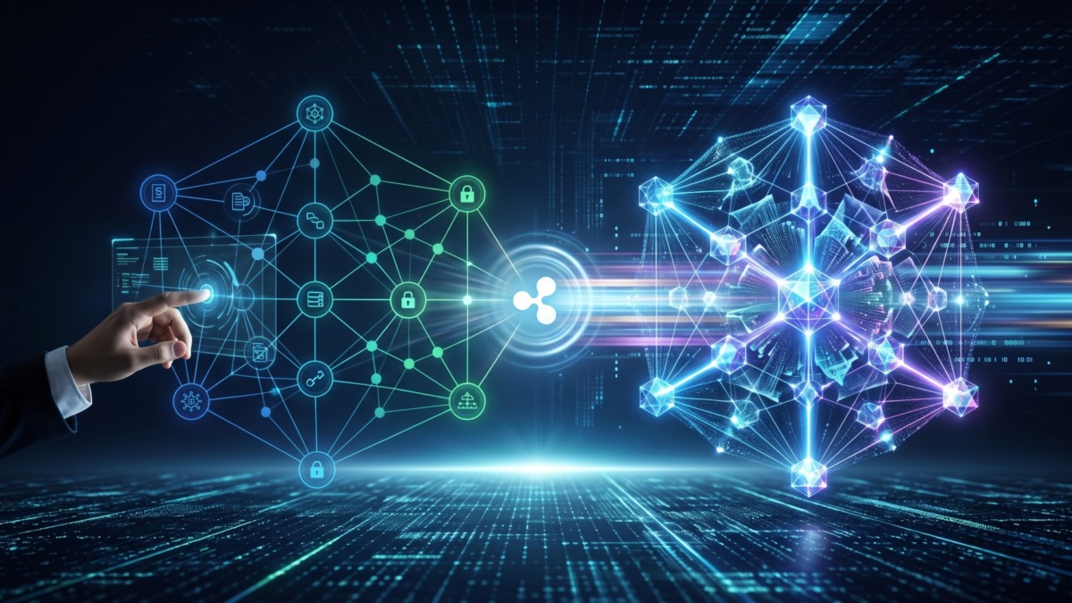 ripple xrp ledger